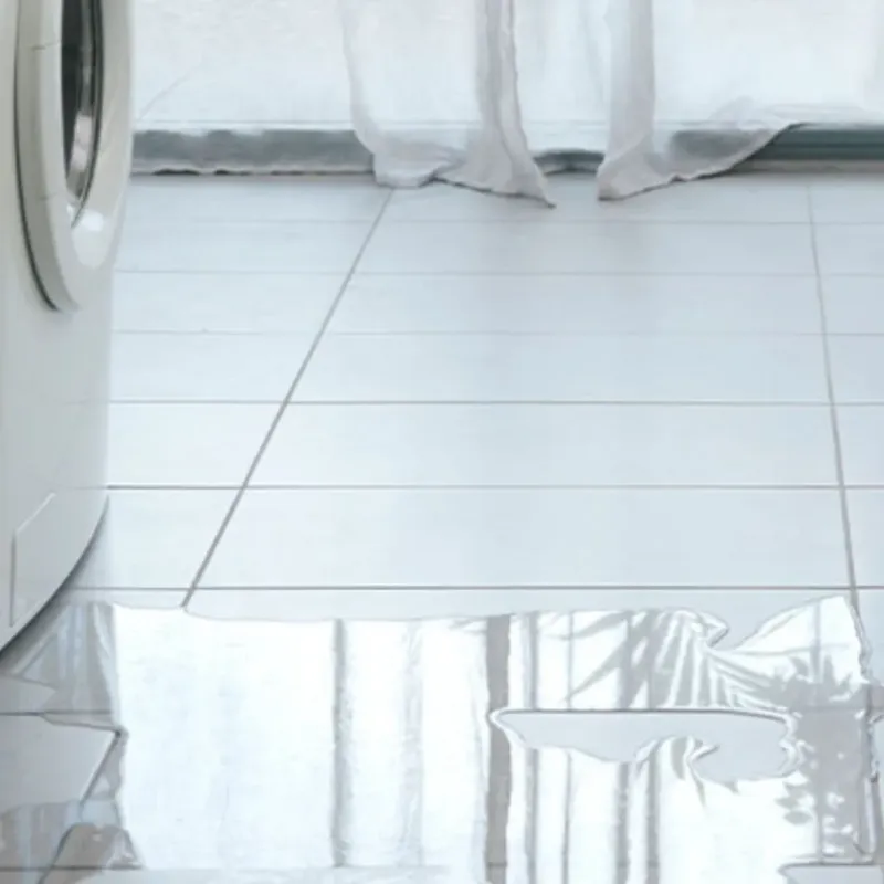 Appliance Leak Cleanup in Barnwell, SC