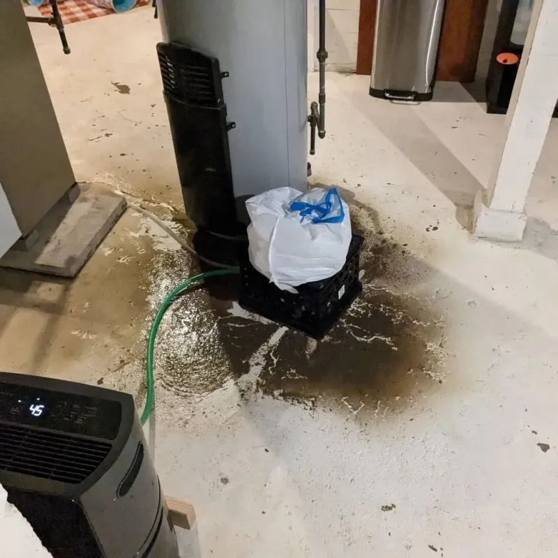 Sewage Backup Cleanup Service in Barnwell, SC